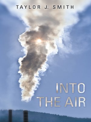 cover image of Into the Air